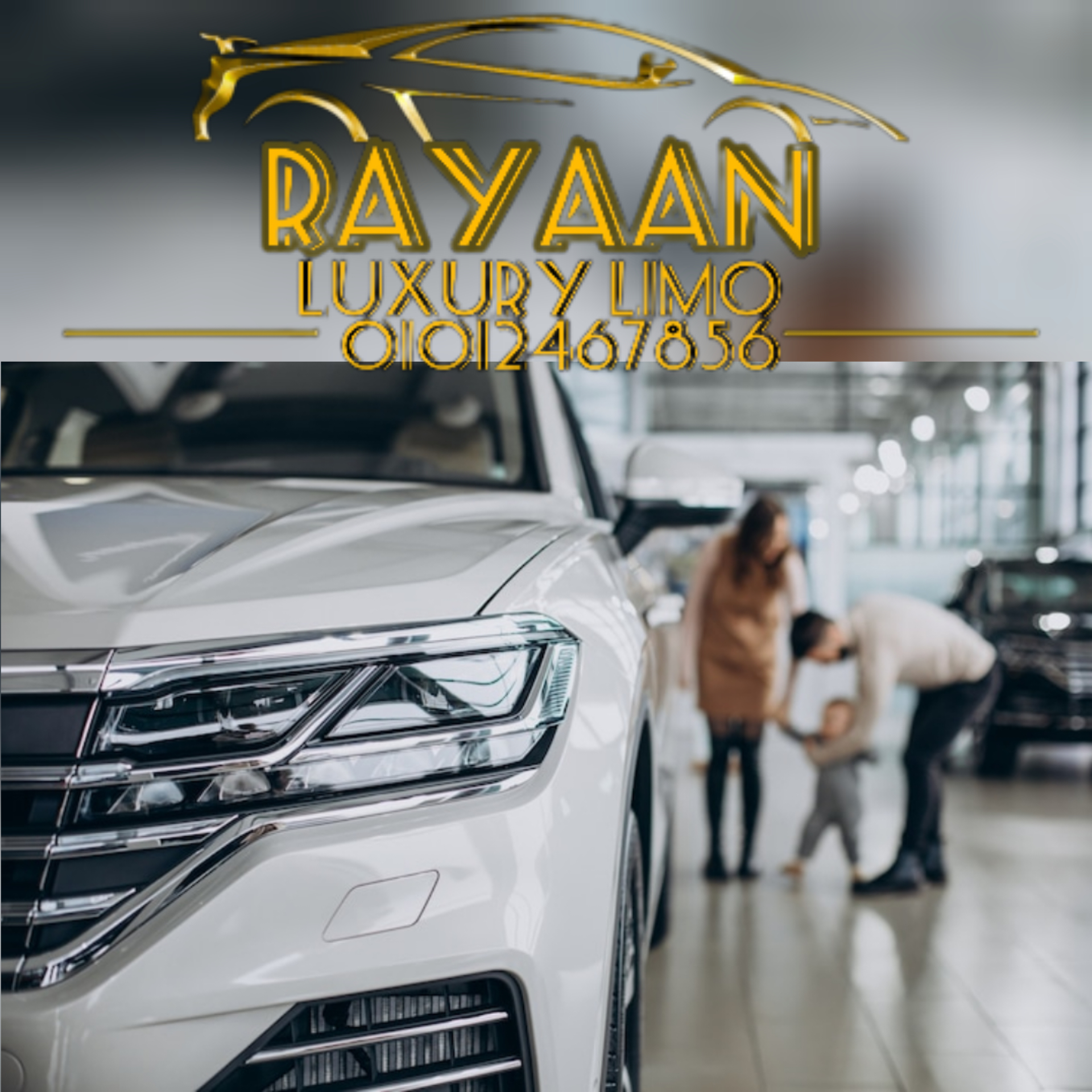 limousine prices from cairo airport to elmansoura 2023