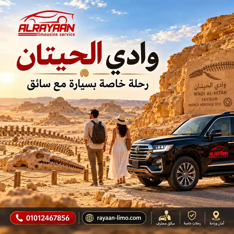 وادي الحيتان في الفيوم رحلة خاصة من القاهرة مع الريان لليموزين